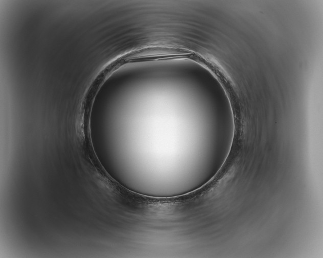 X0000089900830200707051306