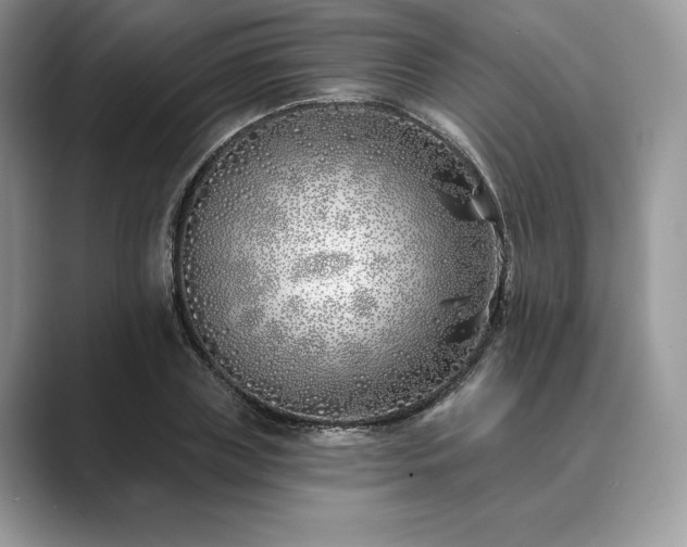 X0000089900835200707051306