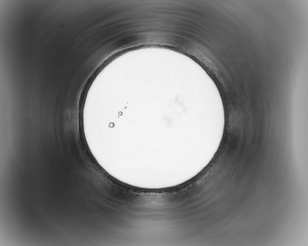 X0000089900836200707051306