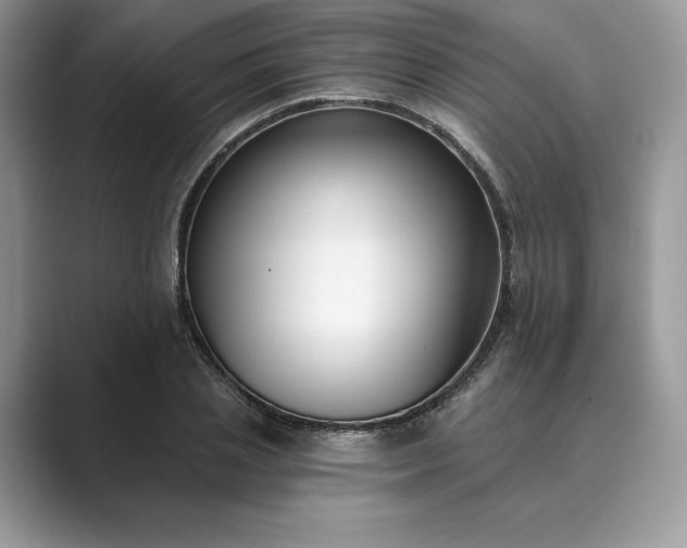 X0000089900837200707051306