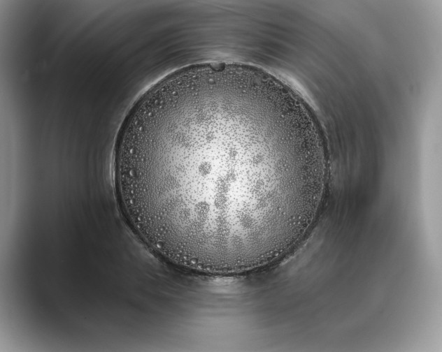 X0000089900839200707051306