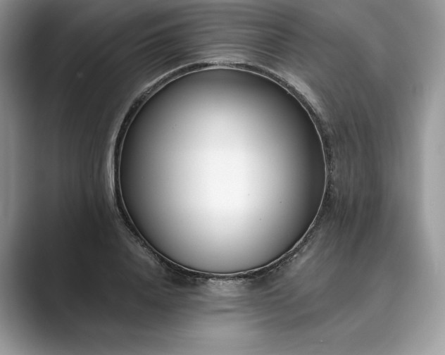 X0000089900840200707051306