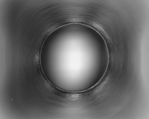 X0000089900841200707051306
