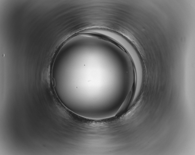 X0000089900842200707051306
