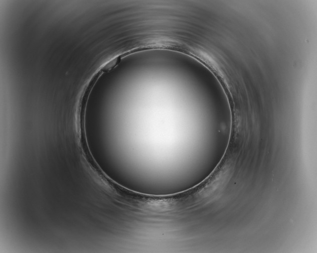X0000089900843200707051306