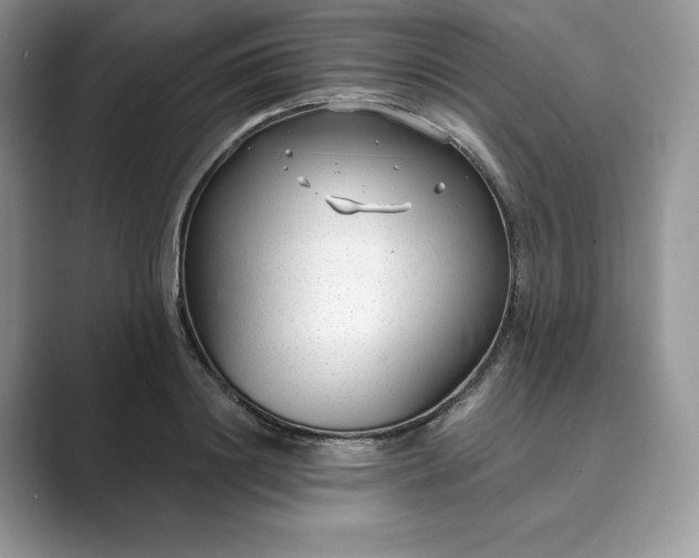 X0000089900844200707051306