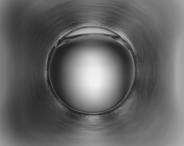 X0000089900845200707051306