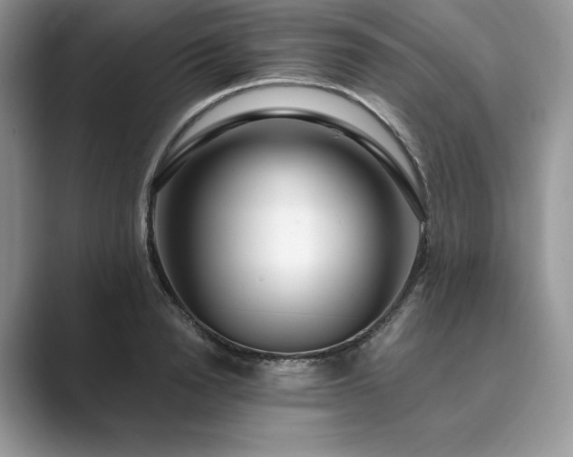 X0000089900846200707051306