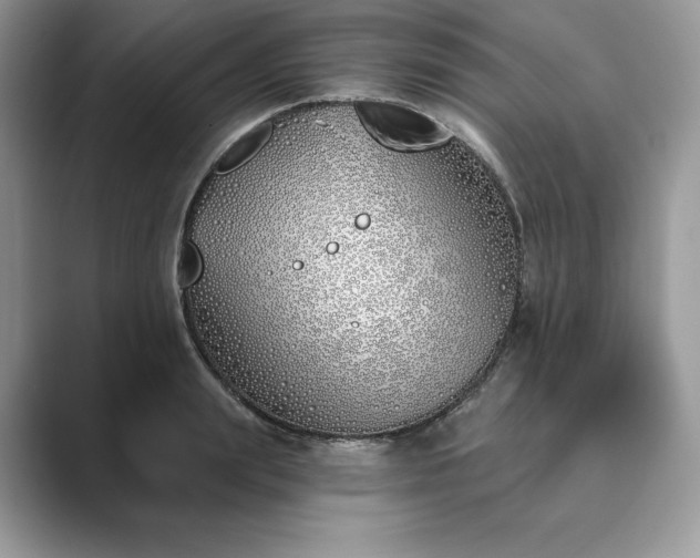 X0000089900847200707051306