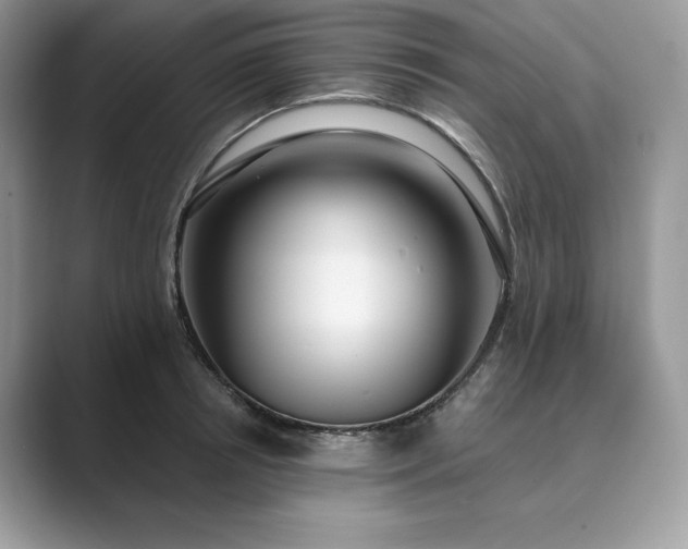 X0000089900850200707051306