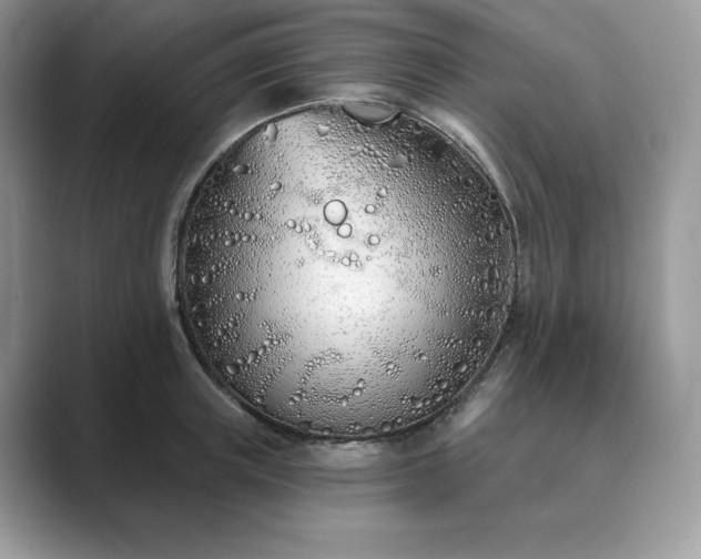 X0000089900851200707051306