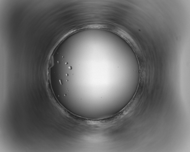 X0000089900852200707051306