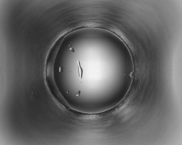 X0000089900853200707051306