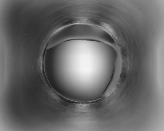 X0000089900854200707051306