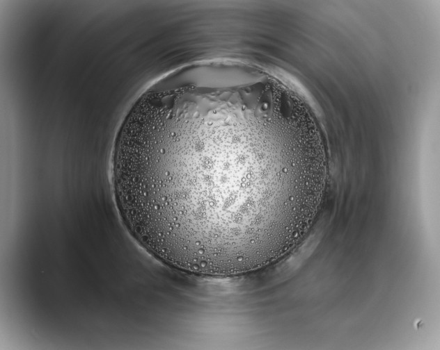 X0000089900855200707051306
