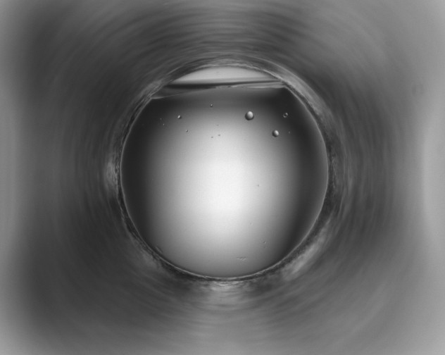 X0000089900857200707051306