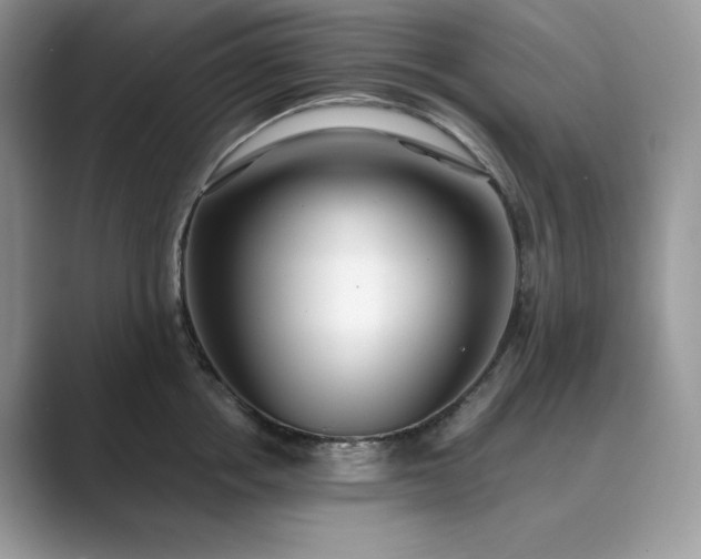 X0000089900858200707051306