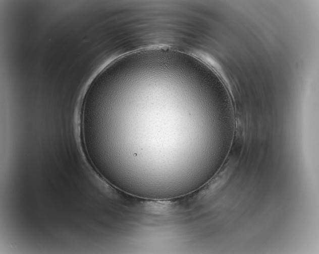 X0000089900859200707051306