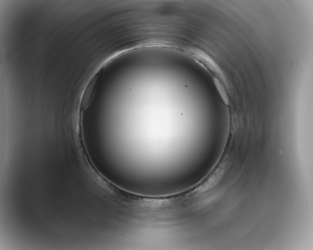X0000089900860200707051306