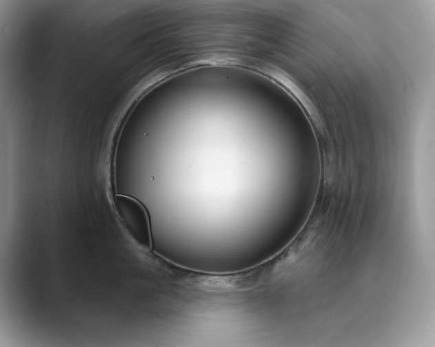 X0000089900861200707051306