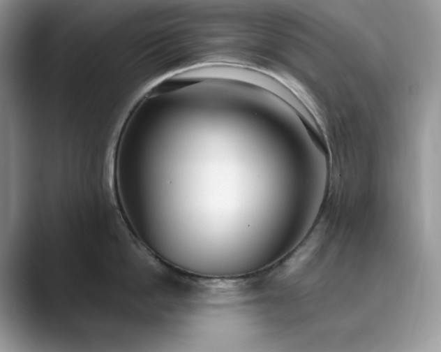 X0000089900862200707051306