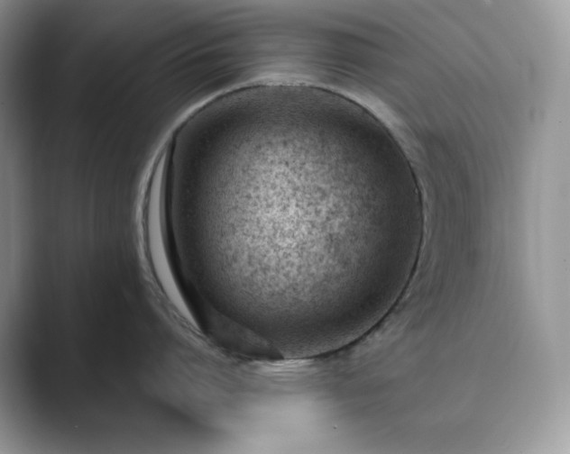 X0000089900864200707051306