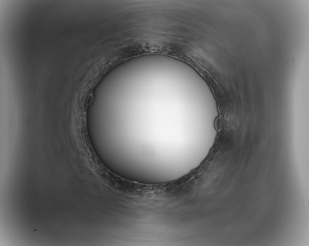 X0000089900865200707051306