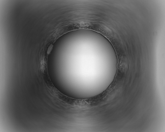 X0000089900866200707051306