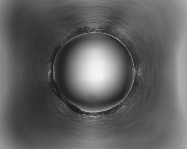 X0000089900868200707051306