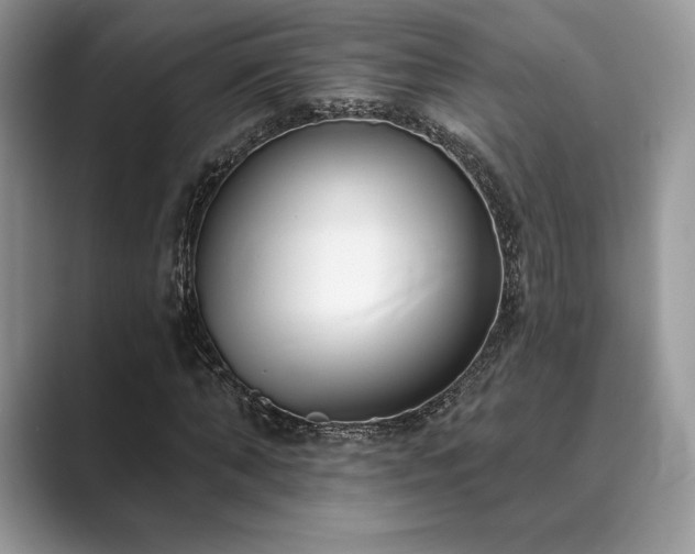X0000089900870200707051306