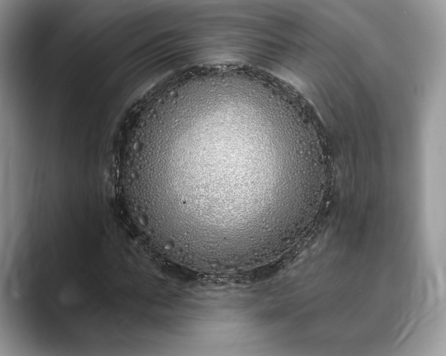 X0000089900871200707051306