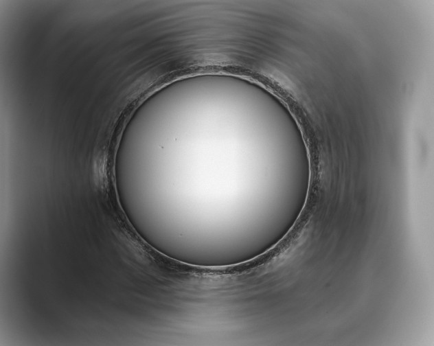 X0000089900873200707051306