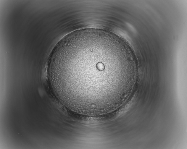 X0000089900875200707051306