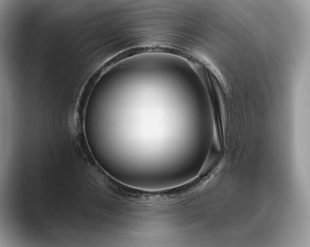 X0000089900876200707051306