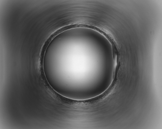 X0000089900880200707051306
