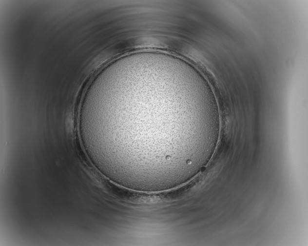 X0000089900882200707051306