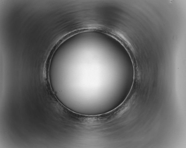X0000089900883200707051306