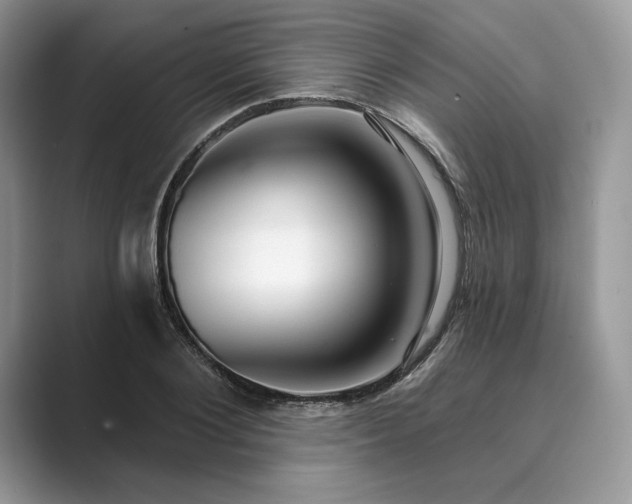 X0000089900884200707051306