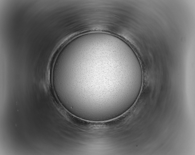 X0000089900886200707051306