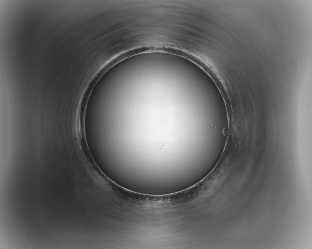 X0000089900887200707051306