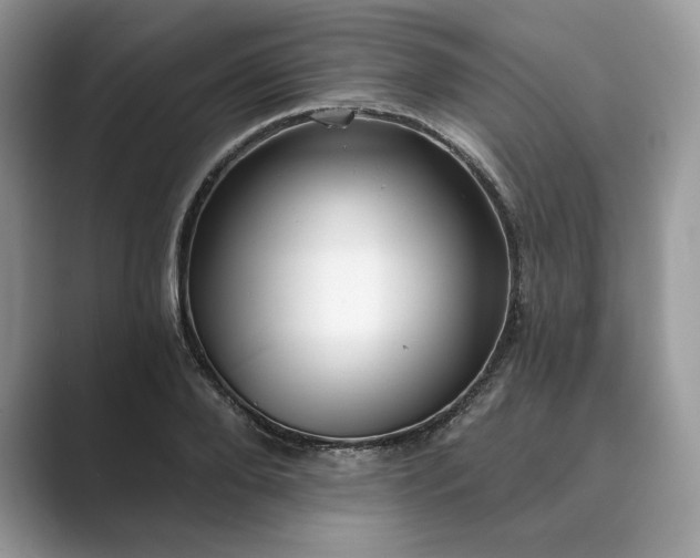 X0000089900888200707051306