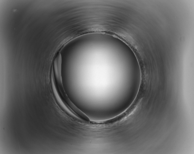 X0000089900889200707051306