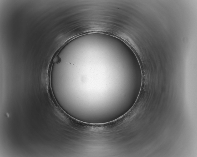 X0000089900890200707051306
