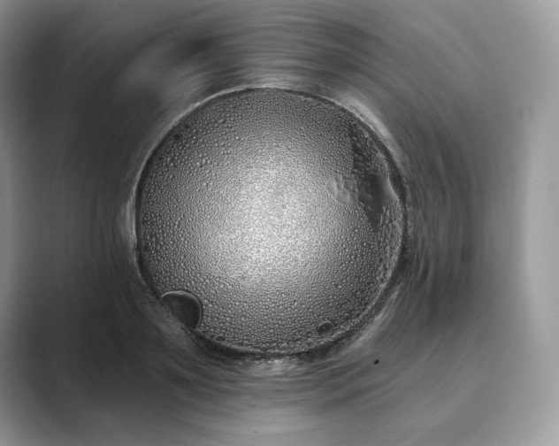 X0000089900891200707051306