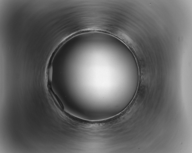 X0000089900892200707051306