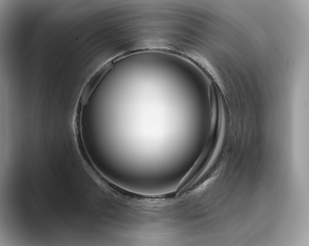 X0000089900893200707051306