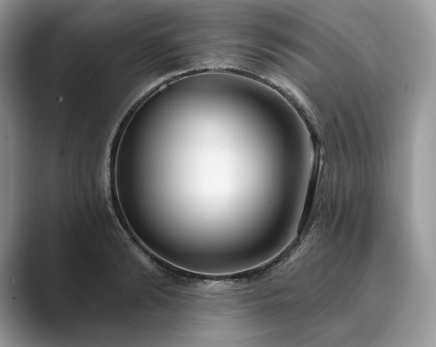 X0000089900894200707051306