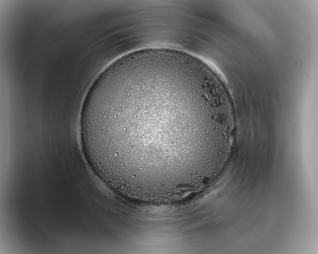 X0000089900895200707051306