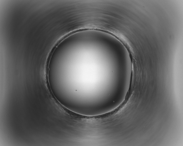 X0000089900896200707051306