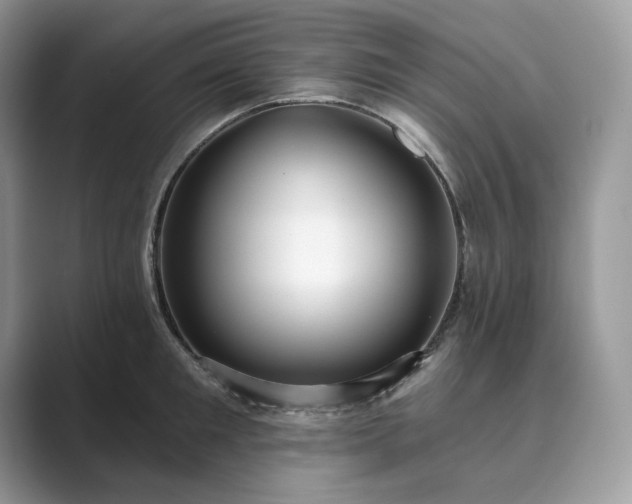 X0000089900901200707051305